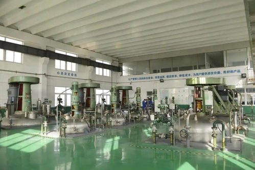 开放创新，共享未来 软件研发领域的协同革命